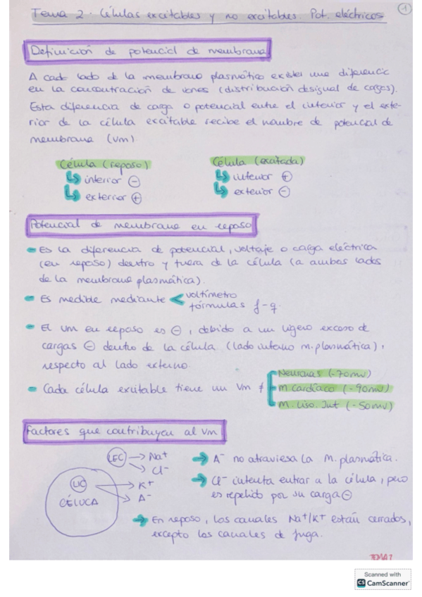 Miniatura del documento FISIOLOGIA-NERVIOSA-2425.pdf