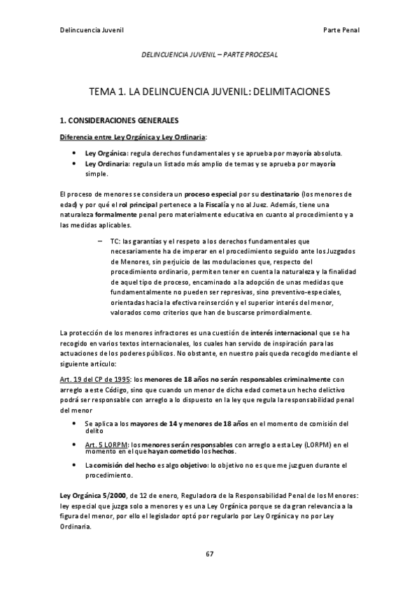 Miniatura del documento Delincuencia-Juvenil-Parte-Procesal.pdf