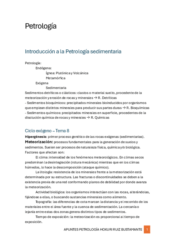 Miniatura del documento Petrologia-apuntes.pdf