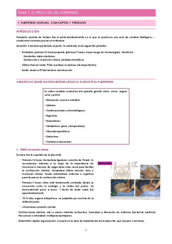 Miniatura del documento Tema-7.-El-proceso-del-puerperio.pdf