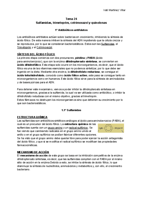 Miniatura del documento Tema-24-Sulfamidas-trimetoprim-cotrimoxazol-y-quinolonas.pdf