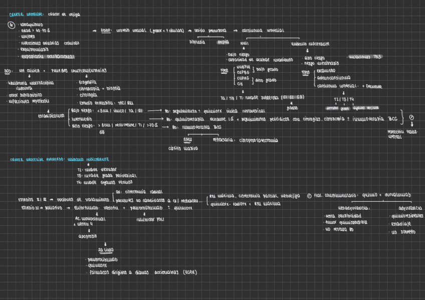 Miniatura del documento CANCER-DE-VEJIGA.pdf