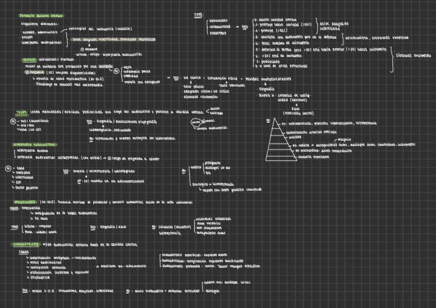 Miniatura del documento PATOLOGIA-UTERINA-BENIGNA.pdf