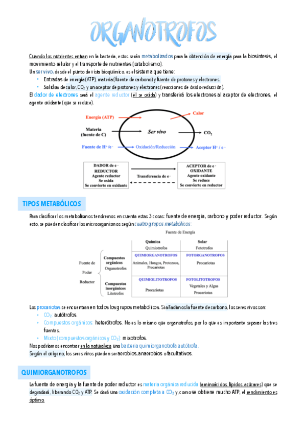 Miniatura del documento 14.-Organotrofos.pdf