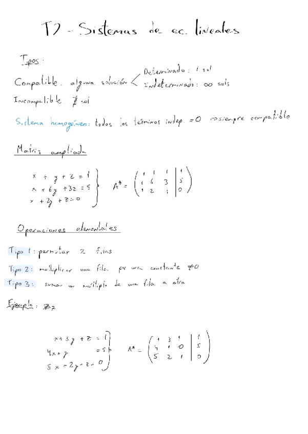 Miniatura del documento T2-explicado-Matrices.pdf