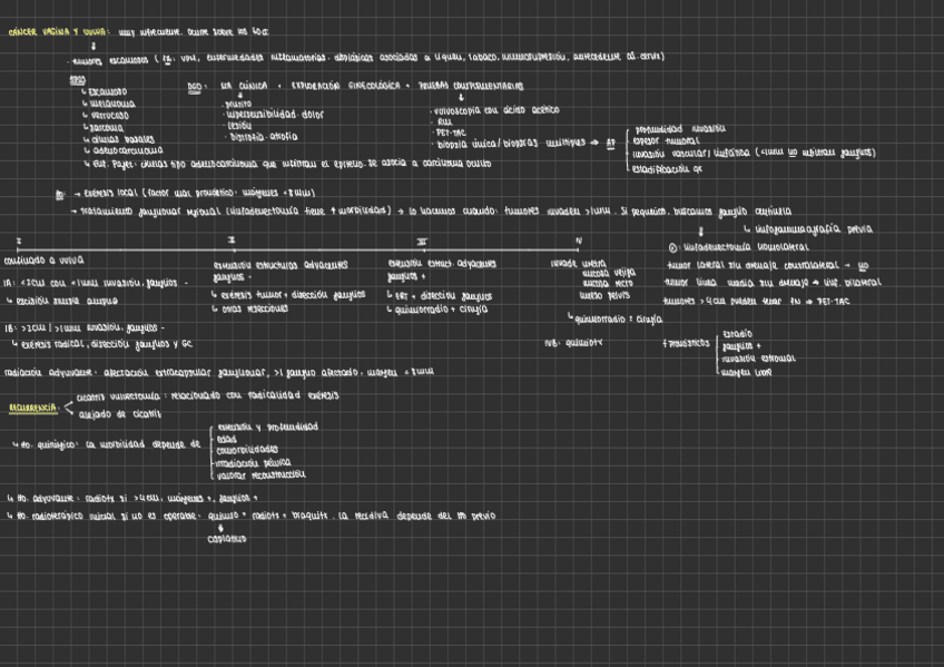 Miniatura del documento CANCER-DE-VAGINA-Y-VULVA.pdf