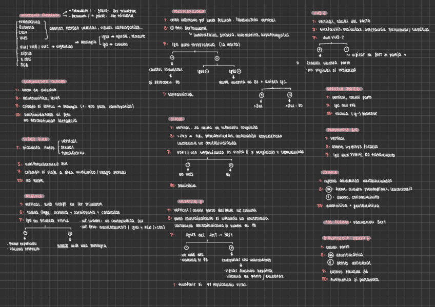 Miniatura del documento INFECCIONES-EN-EMBARAZO.pdf