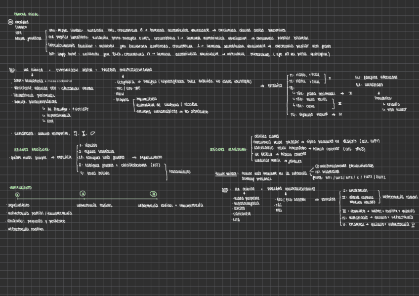 Miniatura del documento CANCER-RENAL-Y-CANCER-RENAL-AVANZADO.pdf