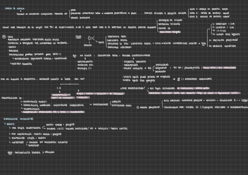Miniatura del documento CANCER-DE-MAMA-LOCALIZADO-Y-AVANZADO.pdf