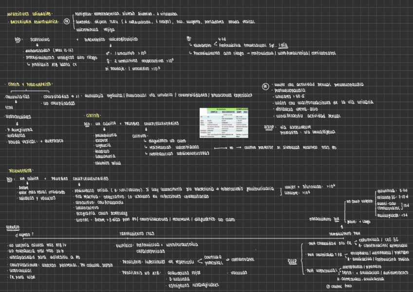Miniatura del documento INFECCIONES-URINARIAS.pdf