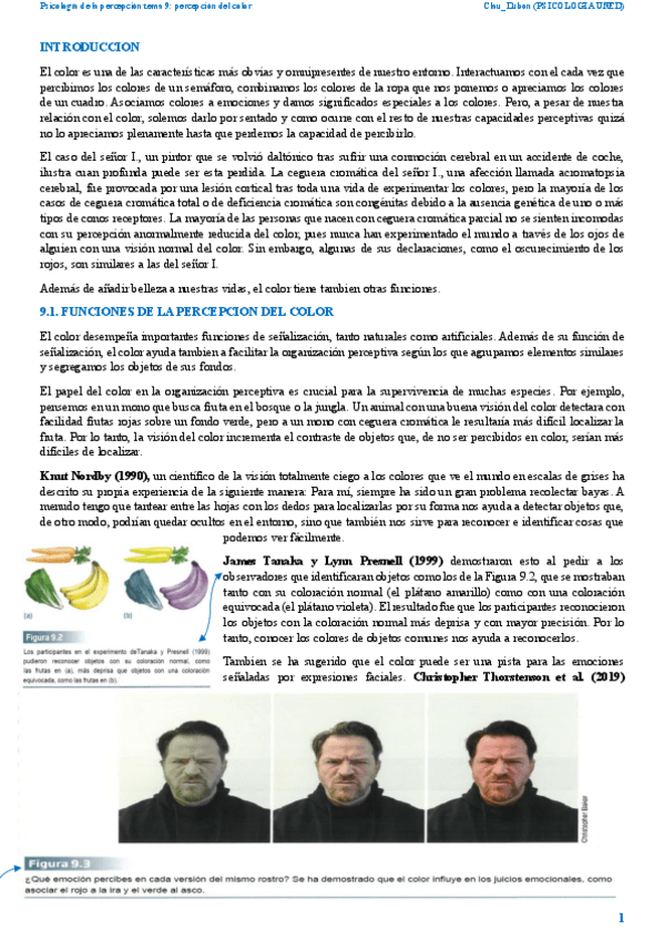 Miniatura del documento Resumen-percepcion-tema-9-2025.pdf