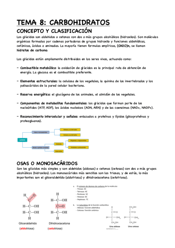 Miniatura del documento TEMA-8-CARBOHIDRATOS.pdf
