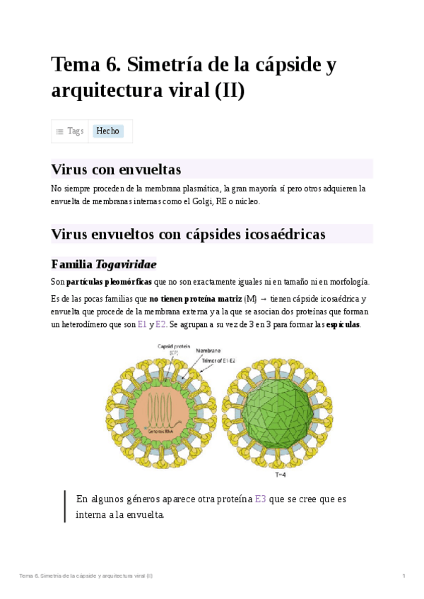 Miniatura del documento Tema 6. Simetría de la cápside y arquitectura viral (II).pdf