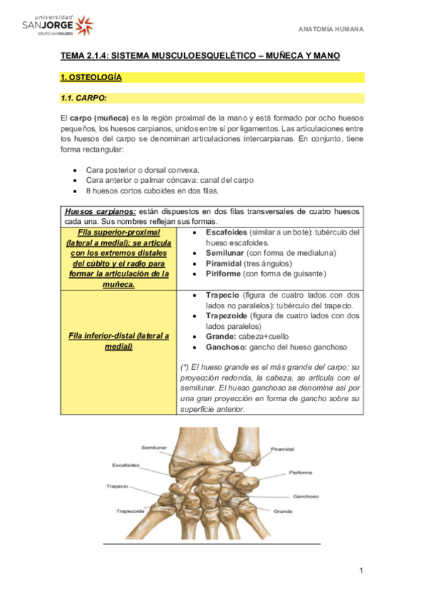 Miniatura del documento T2.1.4.pdf