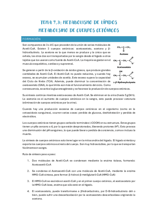 Miniatura del documento TEMA-7.3-Metabolismo-cuerpos-cetonicos.-Metabolismo-lipidos.pdf