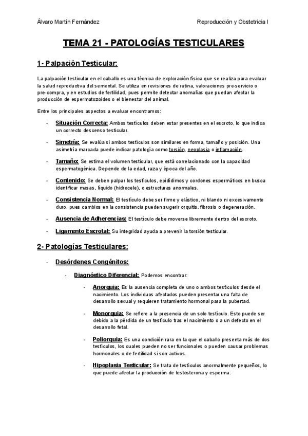 Miniatura del documento TEMA-21-PATOLOGIAS-TESTICULARES.pdf