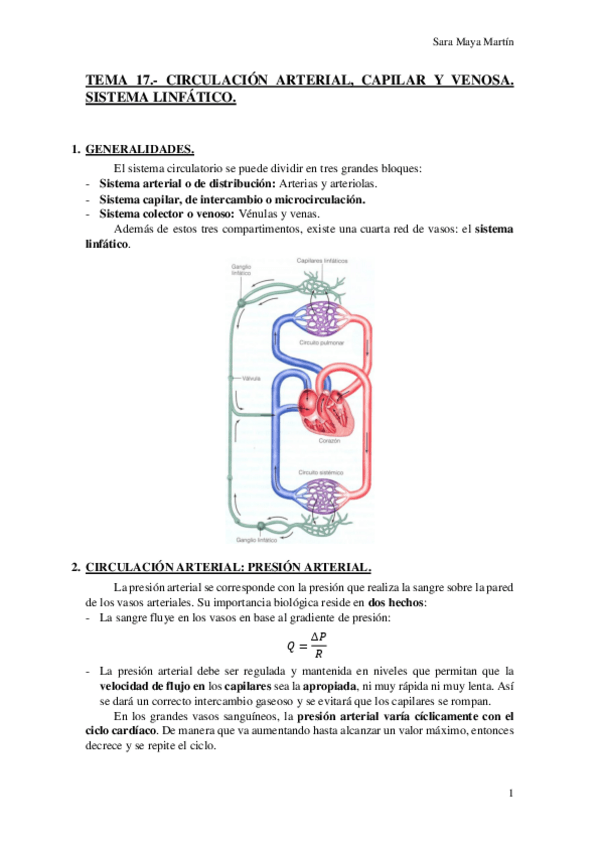 Miniatura del documento TEMA 17.- CIRCULACIÓN ARTERIAL- CAPILAR Y VENOSA. SISTEMA LINFÁTICO..pdf