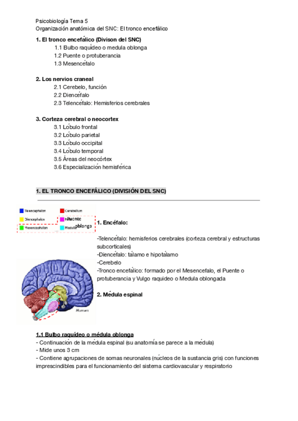 Miniatura del documento Tema-5-II.pdf