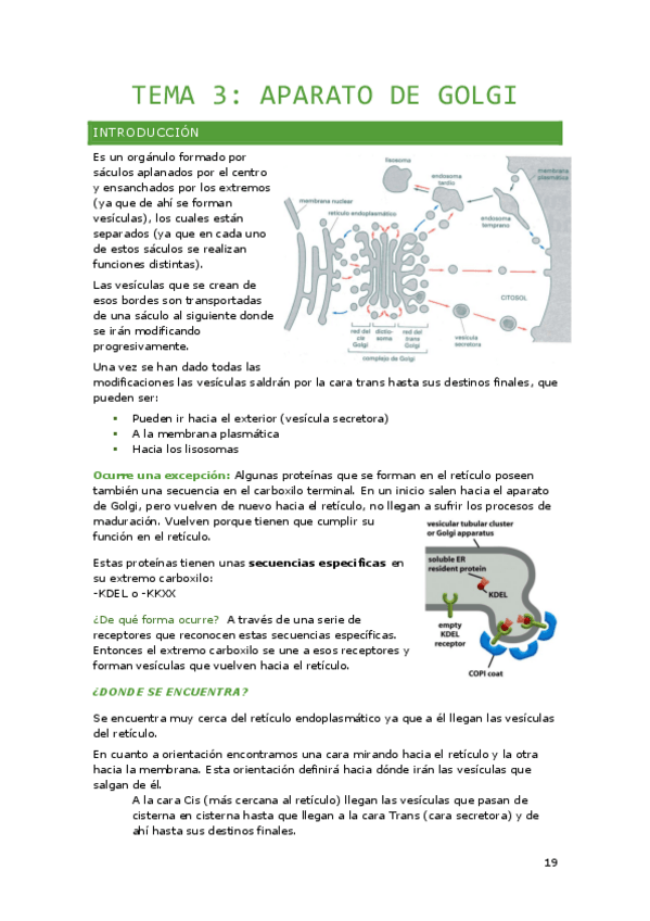 Miniatura del documento Tema-3.-Aparato-de-Golgi.pdf
