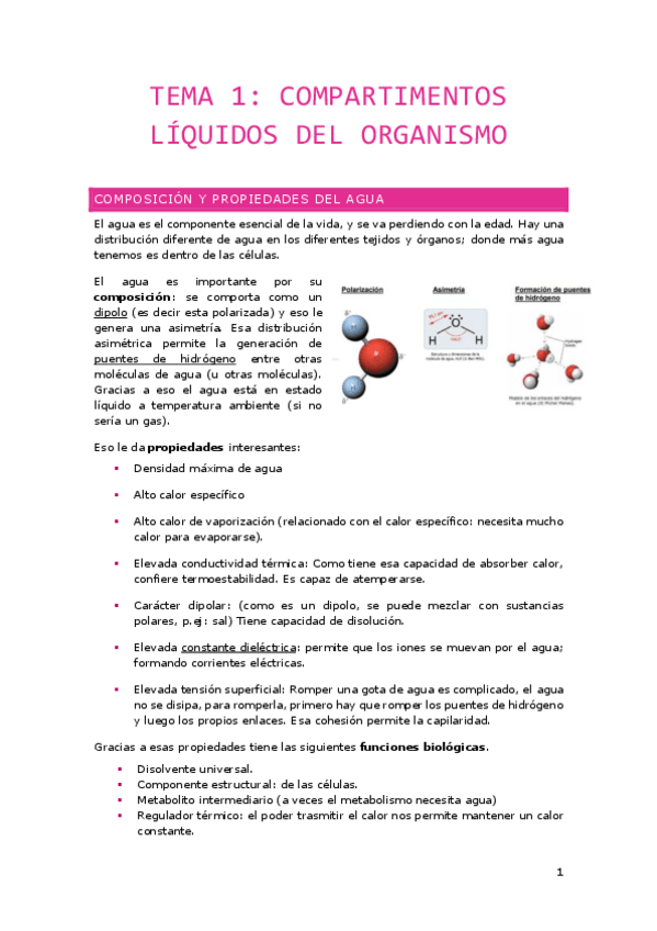 Miniatura del documento Tema-1.-Compartimentos-Liquidos-del-Organismo.pdf
