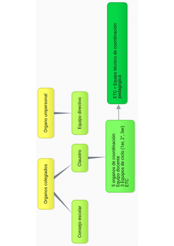 Miniatura del documento Organos colegiados.pdf