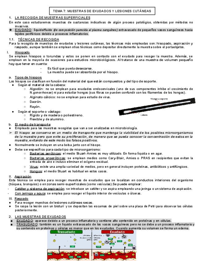 Miniatura del documento TEMA-7-MUESTRAS-DE-EXUDADOS-Y-LESIONES-CUTANEAS.pdf