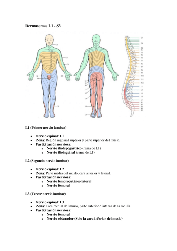 Miniatura del documento Dermatomas-Extremidad-Inferior.pdf
