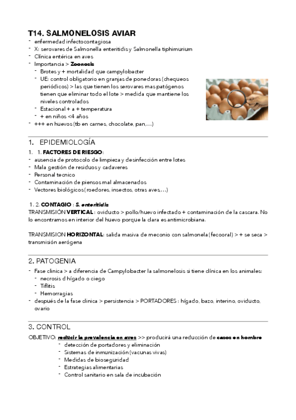 Miniatura del documento salmonelosis-aviar.pdf