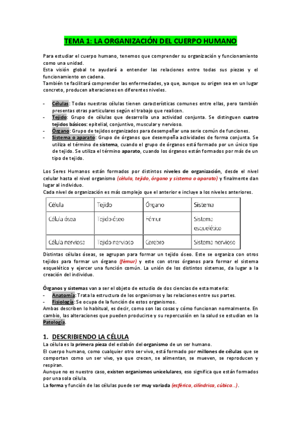 Miniatura del documento TEMA-1.-La-organizacion-del-cuerpo-humano.pdf