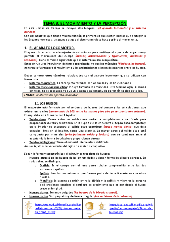 Miniatura del documento TEMA-3.-El-movimiento-y-la-percepcion.pdf