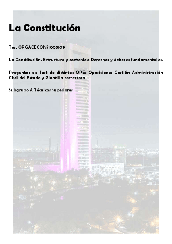 Miniatura del documento Test-09-La-Constitucion-Titulo-I-OPGACE.pdf
