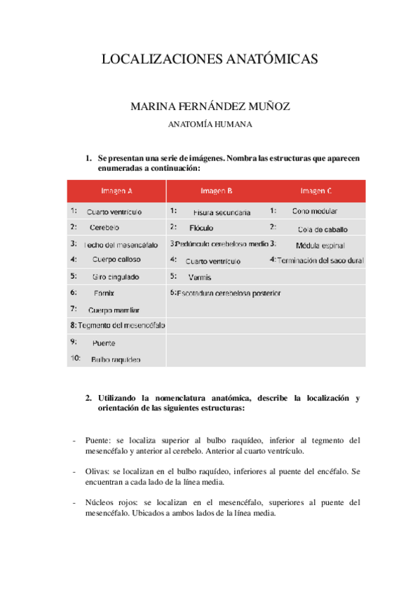 Miniatura del documento TAREA 3 SOLUCION- LOCALIZACIONES-ANATOMICAS-ANATOMIA-HUMANA-MARINA-FERNANDEZ-MUNOZ.pdf