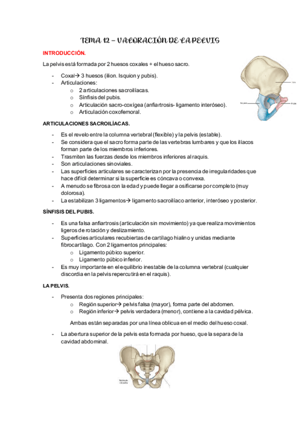 Miniatura del documento TEMA-12.-Valoracion-de-la-pelvis..pdf