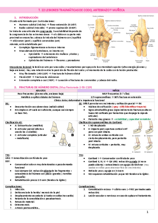 Miniatura del documento T.-22-LESIONES-TRAUMATICAS-DE-CODO-ANTEBRAZO-Y-MUNECA.pdf