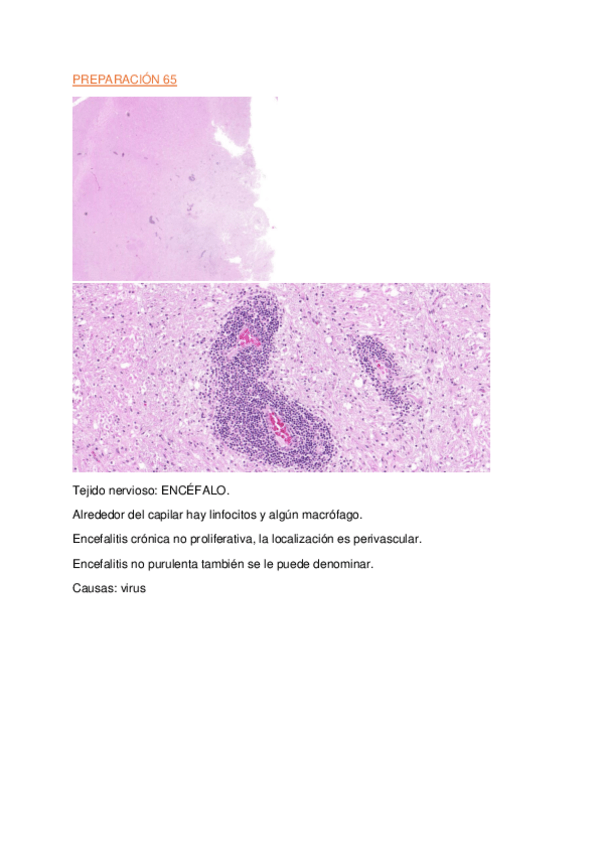 Miniatura del documento PRACTICA-6.pdf