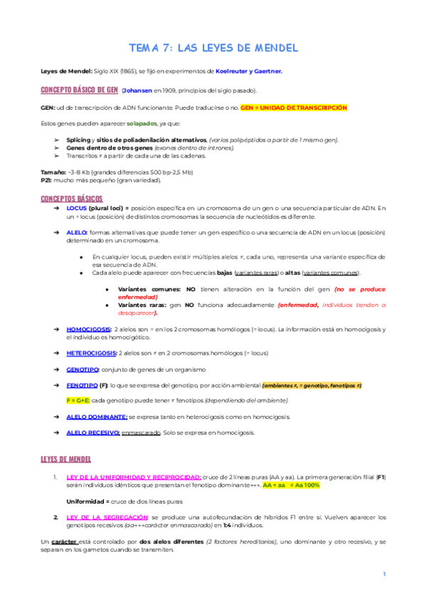 Miniatura del documento TEMA-7-GENETICA.pdf