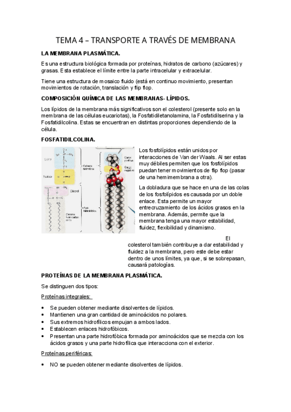 Miniatura del documento TEMA-4.-Transporte-a-traves-de-la-membrana..pdf