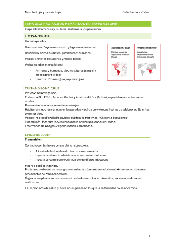 Miniatura del documento tema-36c-micro.pdf