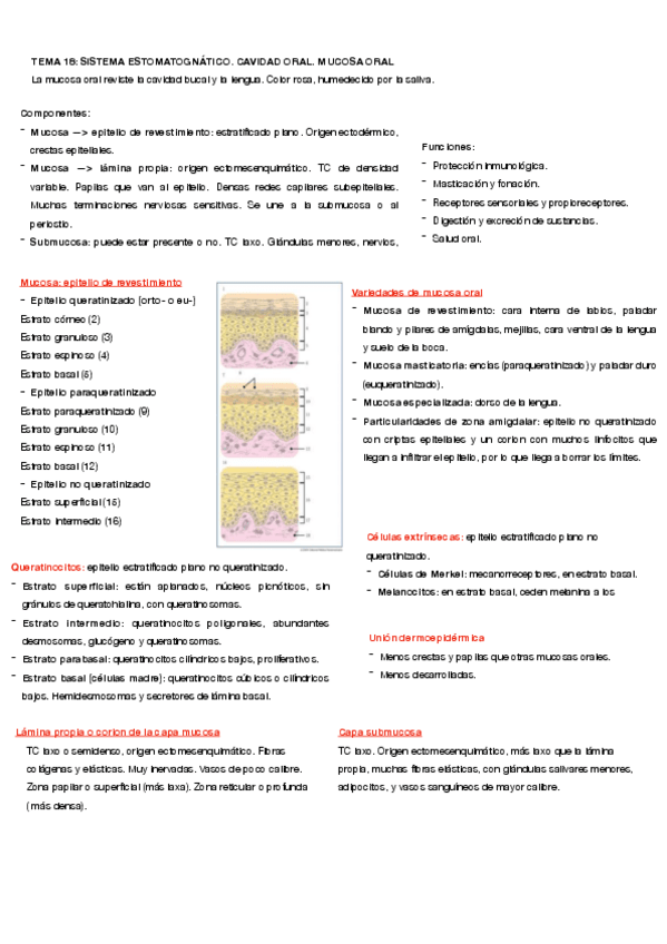 Miniatura del documento tema-18.pdf