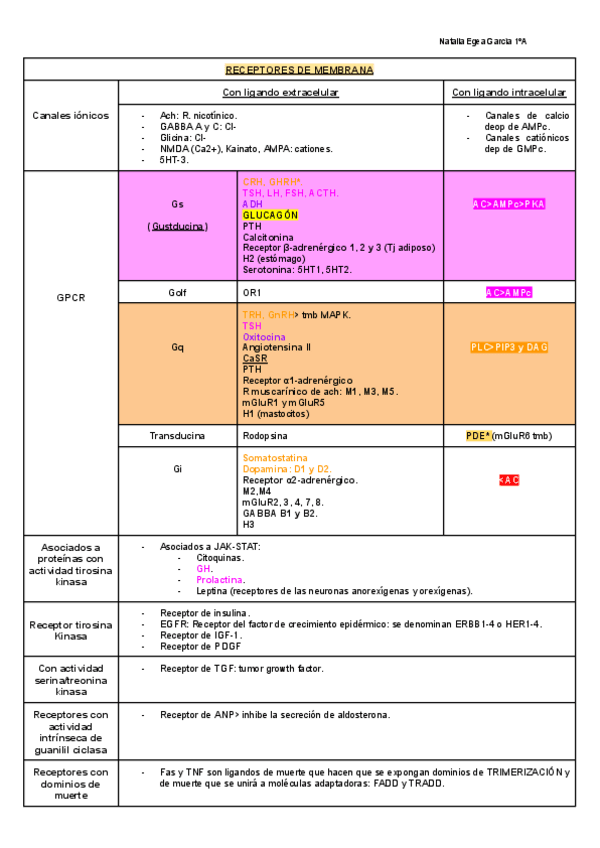 Miniatura del documento REPASO-EXAMEN.pdf