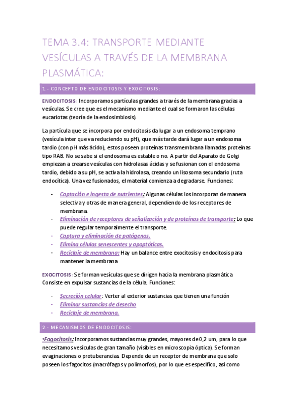 Miniatura del documento TEMA 3.4.pdf