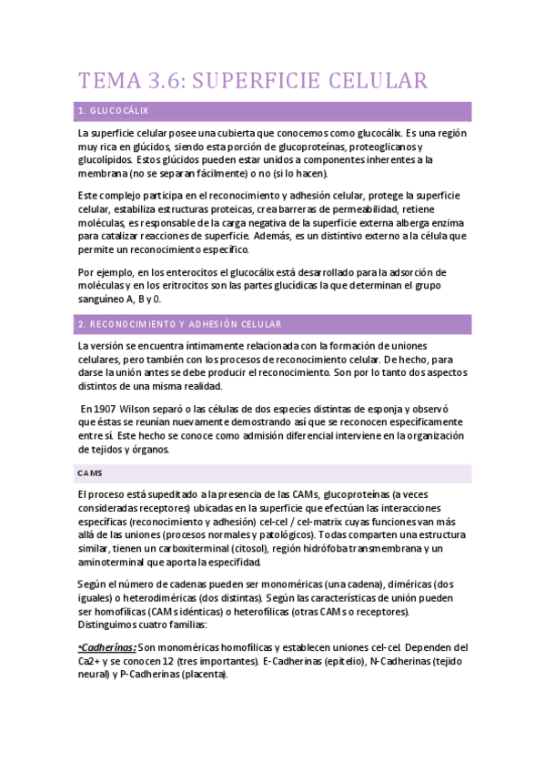 Miniatura del documento TEMA 3.6.pdf