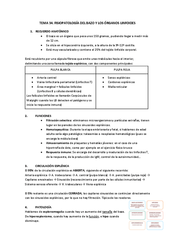 Miniatura del documento FISIOPATOLOGIA-DEL-BAZO.pdf