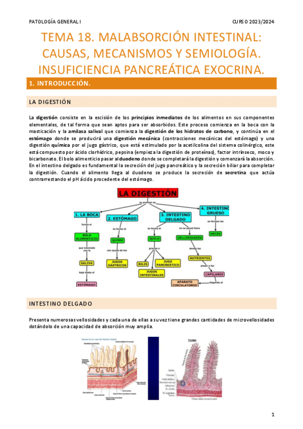 Miniatura del documento Resumen-Tema-18.pdf