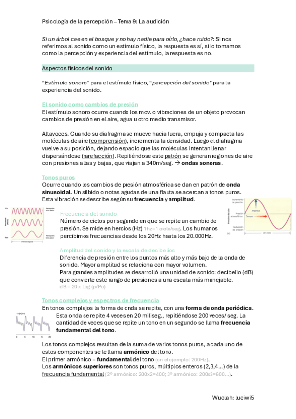 Miniatura del documento T.9-P.-Percepcion.pdf