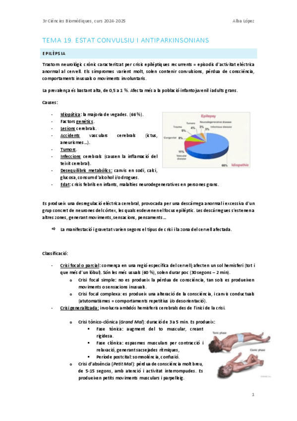 Miniatura del documento Tema-19.-Estat-convulsiu-i-antiparkinsonians.pdf