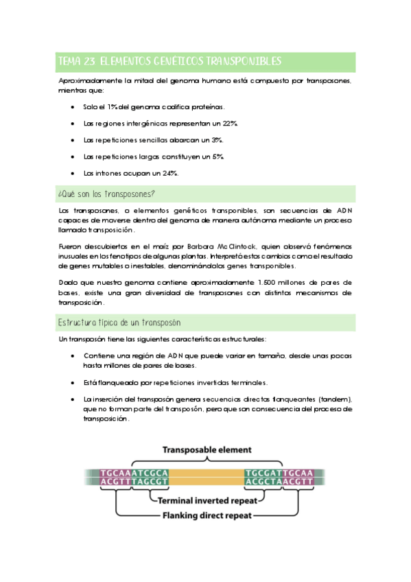 Miniatura del documento Tema 23: Elementos genéticos transponibles.pdf