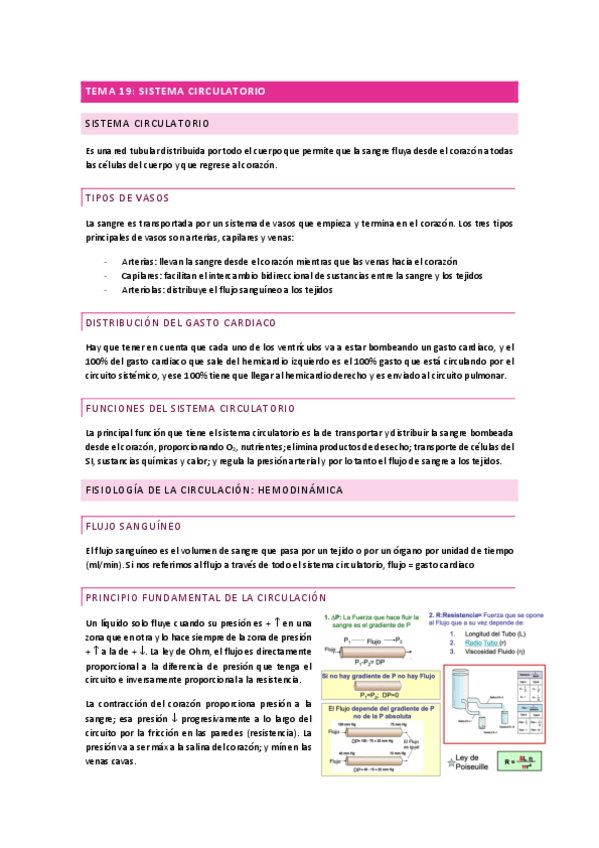Miniatura del documento T19.-Sistema-Circulatorio.pdf