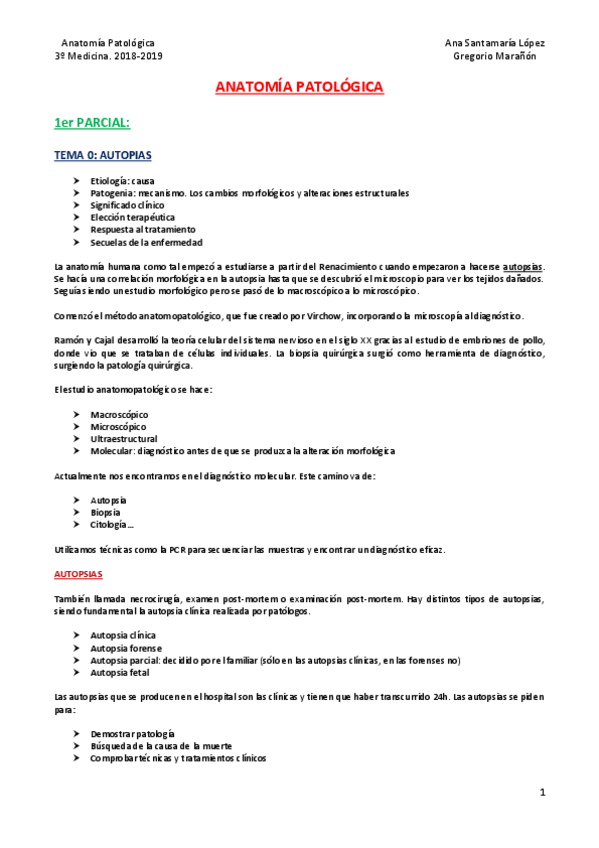 Miniatura del documento 1er parcial AP.pdf
