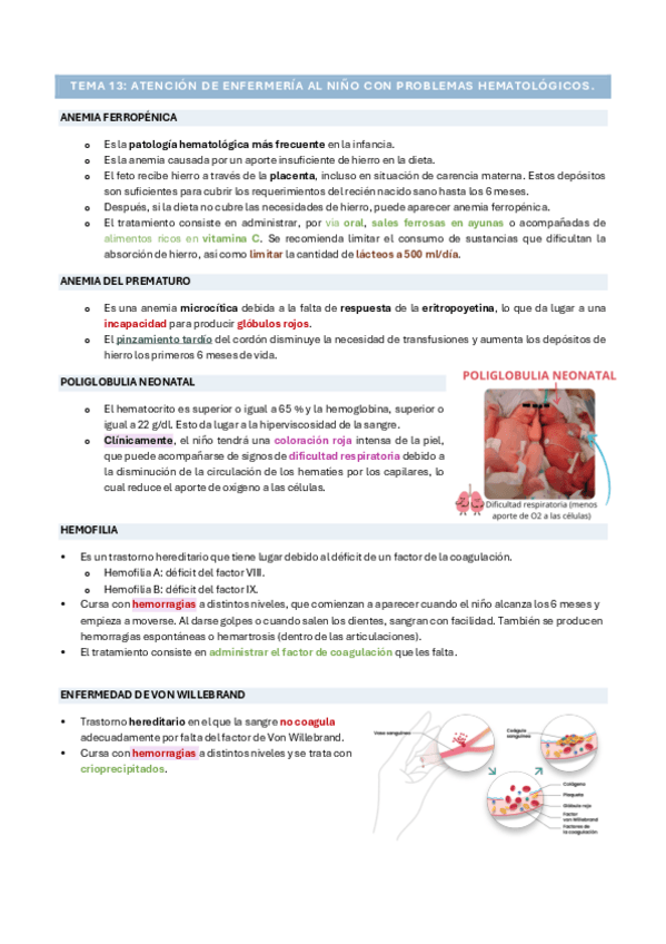 Miniatura del documento Tema-13.pdf
